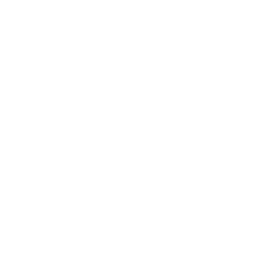 White Teeth Logo